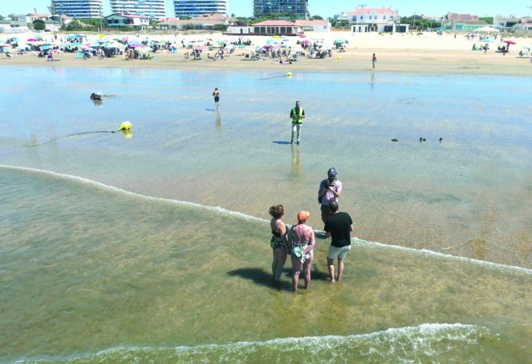 Punta Umbría hace un balance «muy positivo» de la campaña de control de captura de coquinas por bañistas