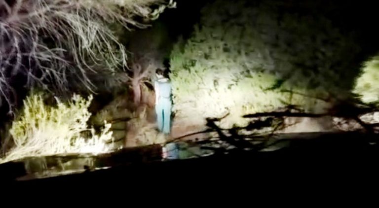 Rescatan a tres niñas que se perdieron durante la noche en Doñana