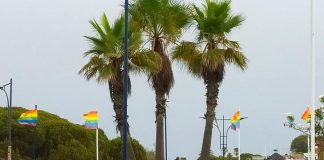 Derriban de nuevo la bandera multicolor de la rotonda del Sancho en Matalascañas