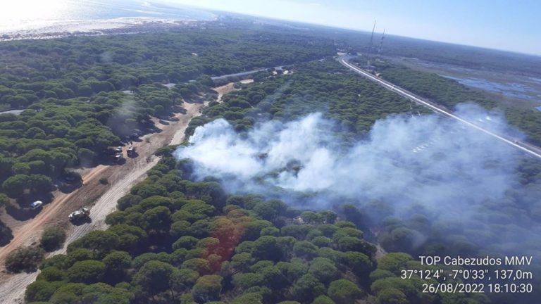 Infoca lucha contra un incendio forestal declarado en un paraje de Punta Umbría