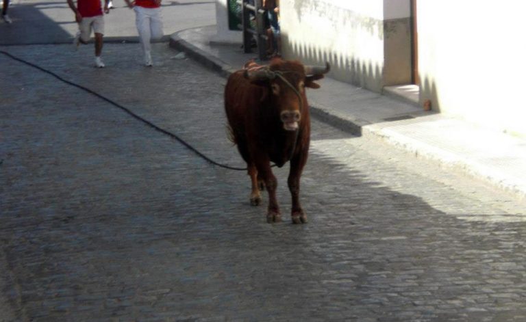 Una vecina de Villalba del Alcor, en estado «muy grave» tras ser corneada por un toro en las fiestas del Carmen