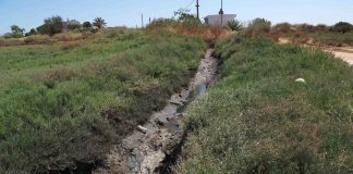 Vecinos de Cartaya exigen una «inmediata solución» al episodio de malos olores que sufren desde hace años