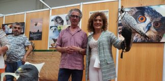 San Silvestre de Guzmán se convierte en el epicentro provincial de la cinegética este fin de semana