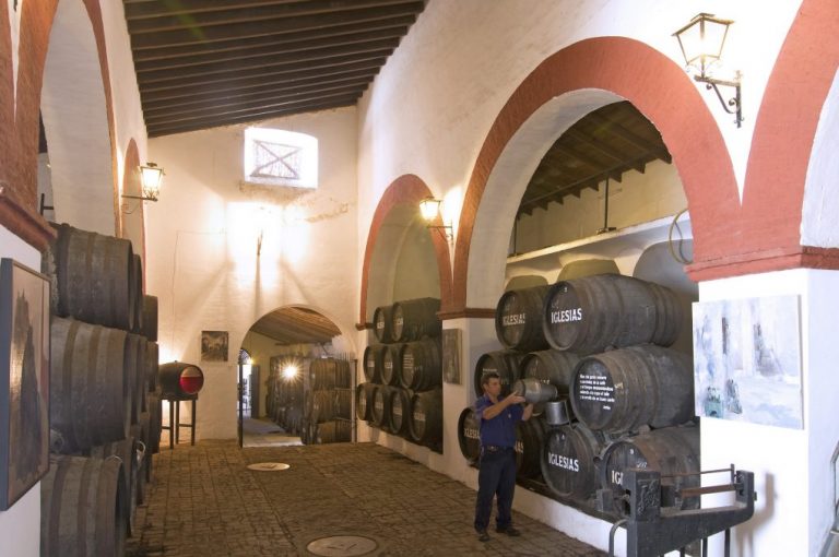 Diputación destina 150.000 euros a la promoción turística de la Ruta del Vino del Condado de Huelva