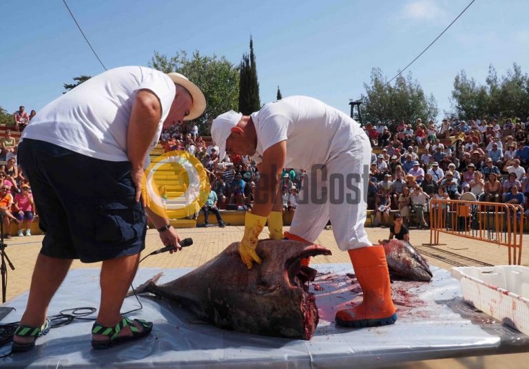 Isla Cristina inicia su XX Encuentro de Capitanes de Almadraba con el ronqueo de un atún