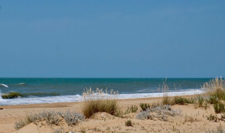 La playa del Espigón acoge este sábado una jornada para acercar deportes acuáticos a la ciudadanía