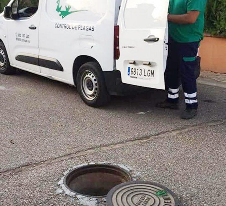 Ayamonte inicia una campaña contra los roedores en la red de alcantarillado y los espacios públicos