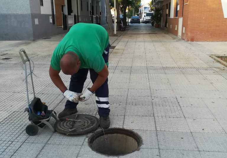 El Ayuntamiento pone en marcha un plan especial contra las ratas en Punta Umbría y El Portil