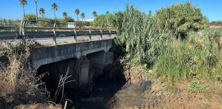 Cartaya procede a la limpieza del arroyo de La Pontezuela