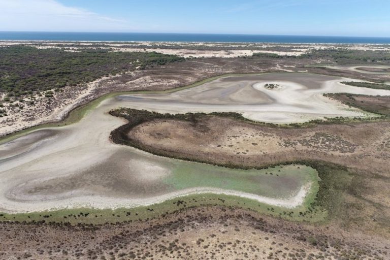 Izquierda Unida lleva a la Comisión Europea la desaparición de la última laguna permanente de Doñana