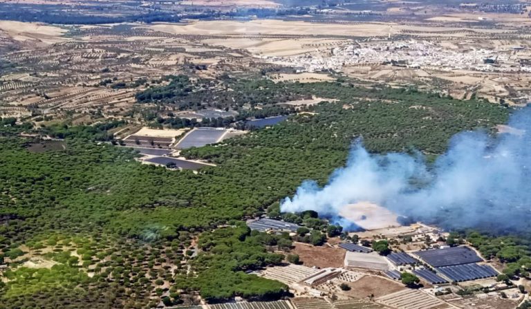 Dos incendios forestales afectan este viernes a los términos de Niebla y Bonares
