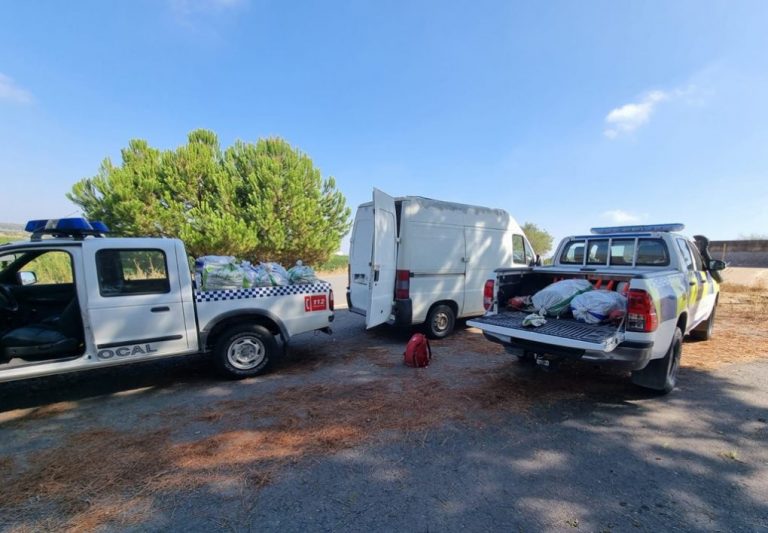 Pillan ‘in fraganti’ en Cartaya a tres personas recogiendo piña sin autorización, a las que se incauta 550 kilos