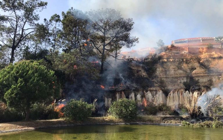Bomberos del Consorcio intervienen en la extinción de un incendio en el campo de golf de Islantilla    