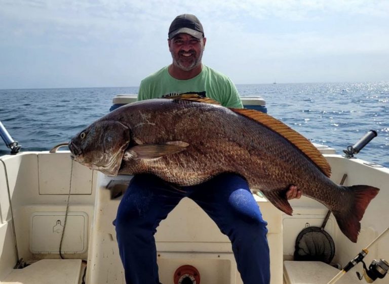 Un pescador onubense captura una enorme corvina de 40 kilos en aguas de Mazagón