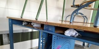 Exigen a la Junta que actúe de inmediato en la limpieza de un instituto de Secundaria de Lepe