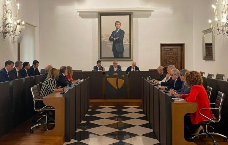 María Eugenia Limón participa en la comisión de diputaciones, cabildos y consejos de la FEMP