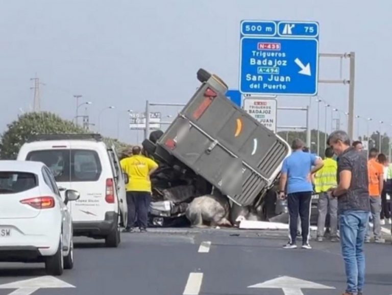 Dos caballos quedan atrapados bajo el remolque que los transportaba en San Juan del Puerto