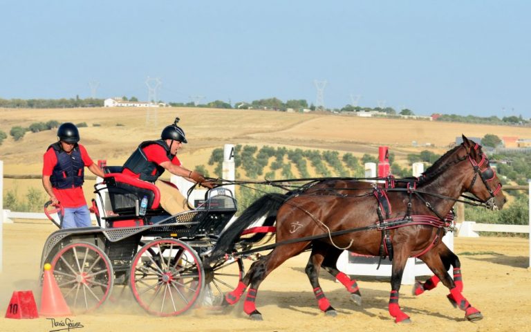 El onubense Prudencio Cortes de la Miyar se proclama campeón de España de Enganches
