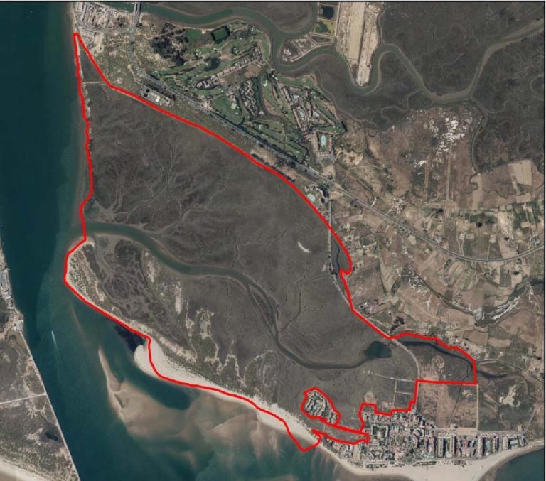 El Gobierno incluye la isla ayamontina de San Bruno en el Inventario Español de Zonas Húmedas