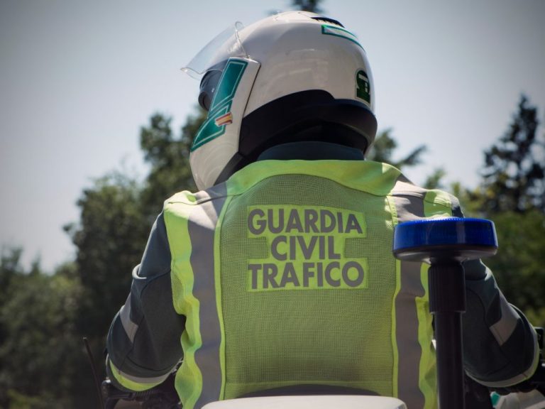Detenido en La Palma un conductor que circulaba con un coche robado justo antes en San Juan del Puerto