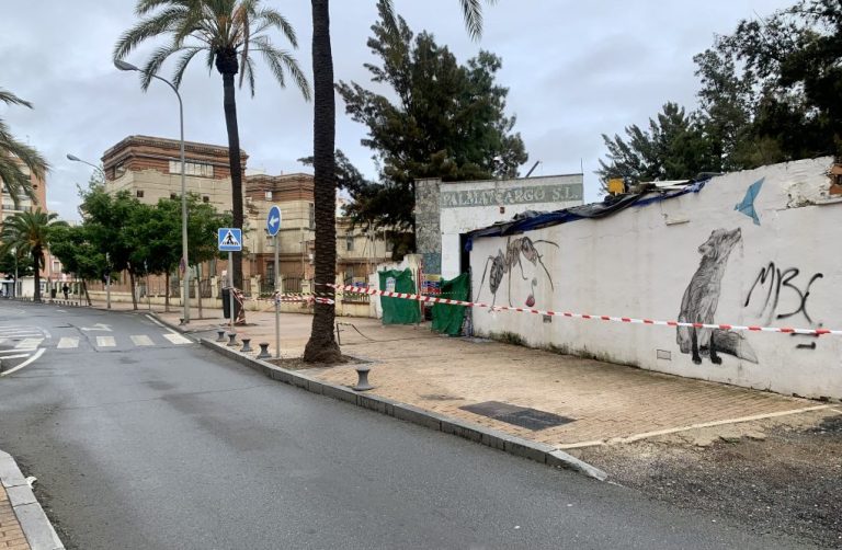 En unos 30 días quedará liberada la calle Ángel Muriel tras la demolición de las naves de Palma Cargo