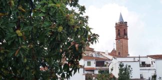 Fuenteheridos celebra del 3 al 6 de diciembre una nueva edición de su Feria de la Castaña