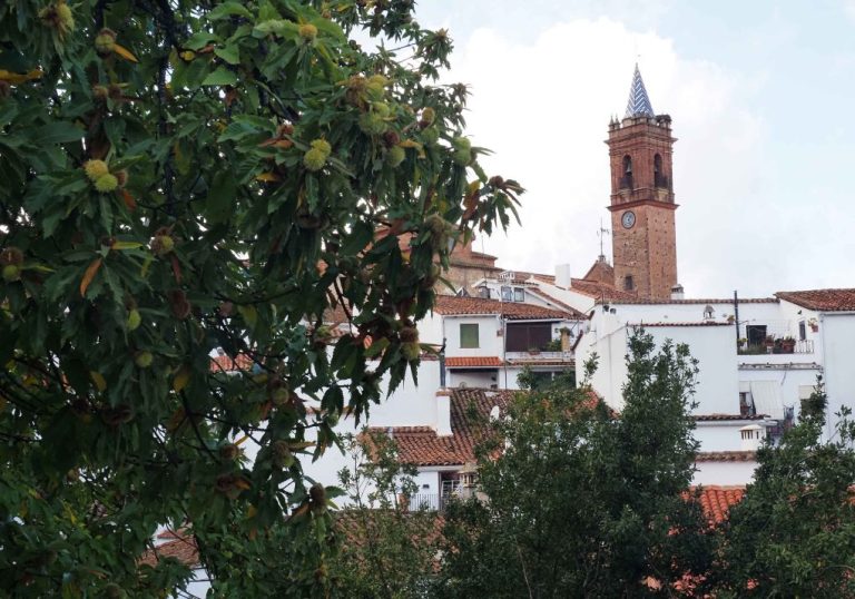 Fuenteheridos celebra del 3 al 6 de diciembre una nueva edición de su Feria de la Castaña
