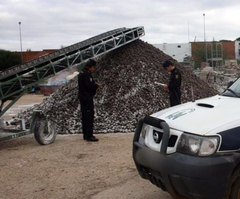 Intervienen 18.000 kilos de piña acopiada ilegalmente en Lepe