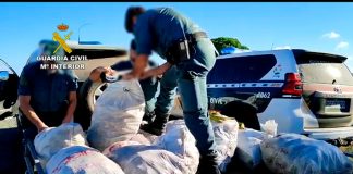 Investigan a 38 personas e intervienen más de 7.000 kilos de piña cogida ilegalmente en Doñana