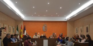 Almonte pone coto a las ‘casas-discoteca’ en El Rocío y aprueba duras sanciones