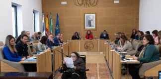 La Diputación de Huelva ratifica una Declaración Institucional por el Día de las Personas con Discapacidad