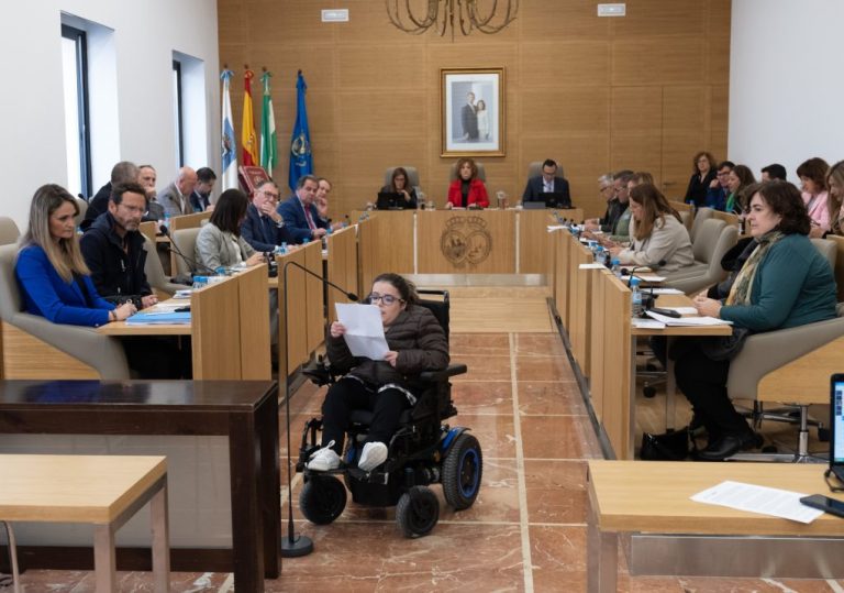 La Diputación de Huelva ratifica una Declaración Institucional por el Día de las Personas con Discapacidad