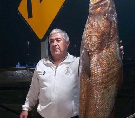 Capturan en aguas de Huelva una “gigantesca” corvina de 45,5 kilos