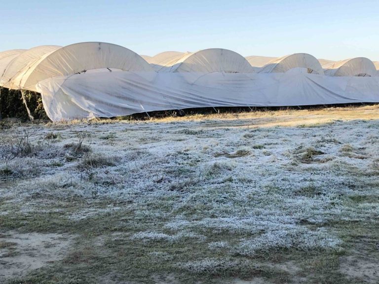 <strong>Aroche fue ayer lunes el municipio que registró la temperatura más baja de Andalucía</strong>