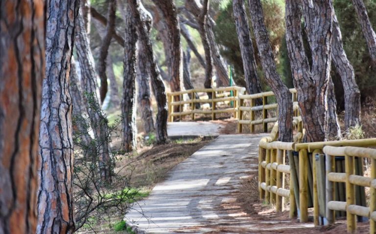 Premian de nuevo al Camino de los Enebrales de Punta Umbría con el distintivo ‘Sendero Azul’