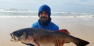 Capturan desde la orilla de la playa de Matalascañas un enorme robalo de 8,5 kilos