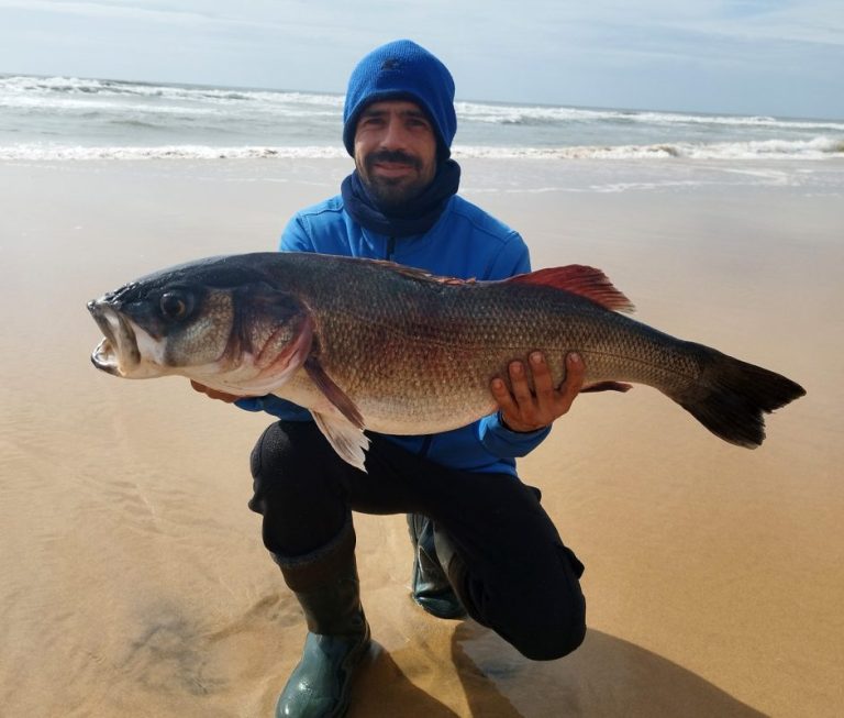 Capturan desde la orilla de la playa de Matalascañas un enorme robalo de 8,5 kilos