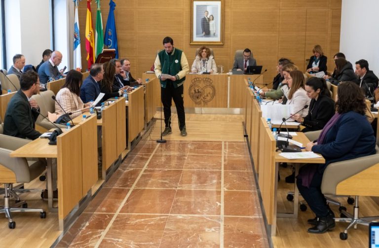 El Pleno de la Diputación de Huelva ratifica una Declaración Institucional de apoyo a afectados por síndrome de Asperger