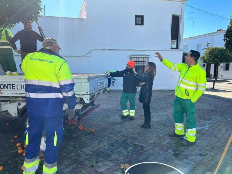 <strong>Ayamonte prosigue los trabajos de poda y recogida de naranjas en los barrios de la ciudad</strong>