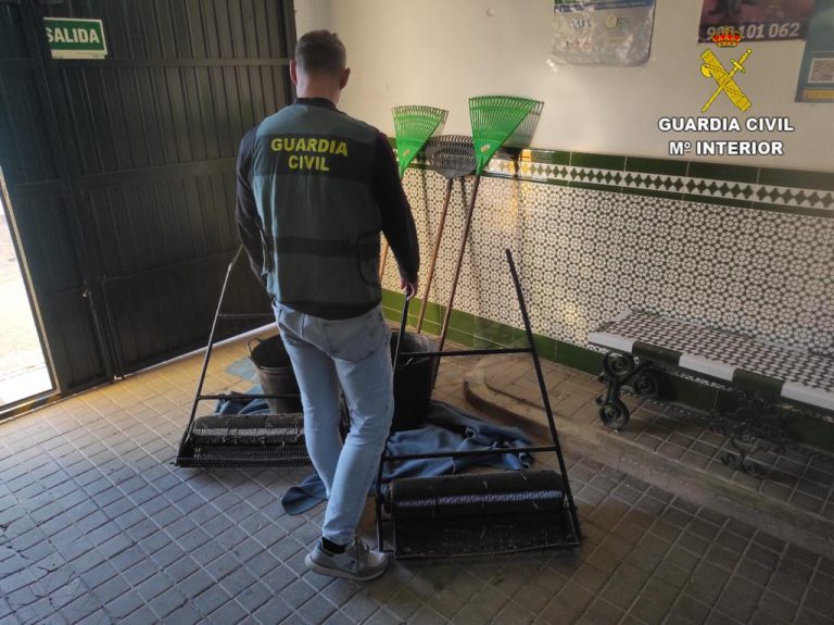 Sorprenden a cinco personas, entre ellas un menor de edad, robando aceitunas en una finca de Chucena