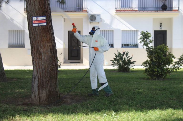 El Ayuntamiento de Cartaya actúa contra la procesionaria en los núcleos urbanos