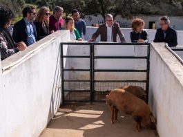 La Diputación de Huelva anuncia la creación del nuevo Centro de Innovación Territorial