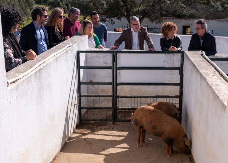 La Diputación de Huelva anuncia la creación del nuevo Centro de Innovación Territorial
