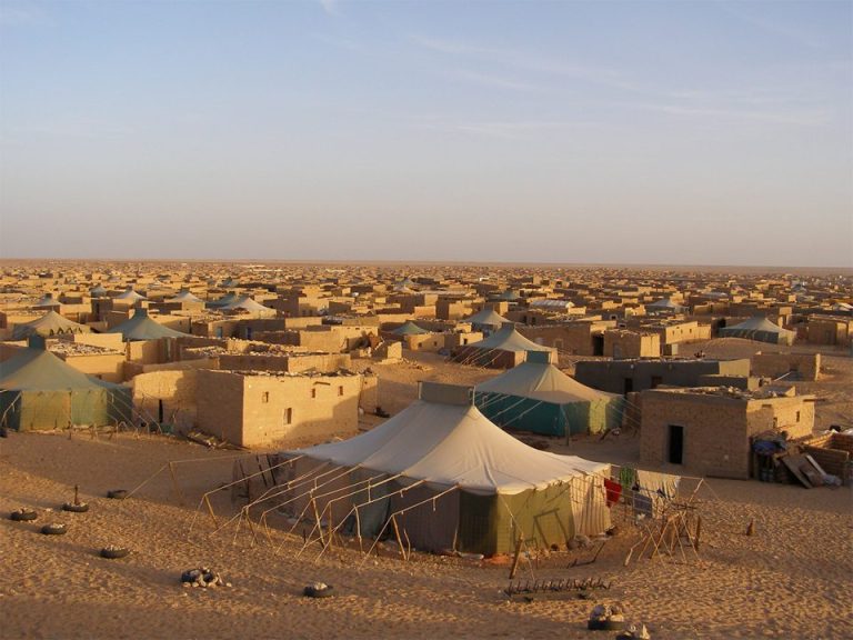 Detectan desvío de ayuda humanitaria por las milicias del Frente Polisario y el régimen argelino