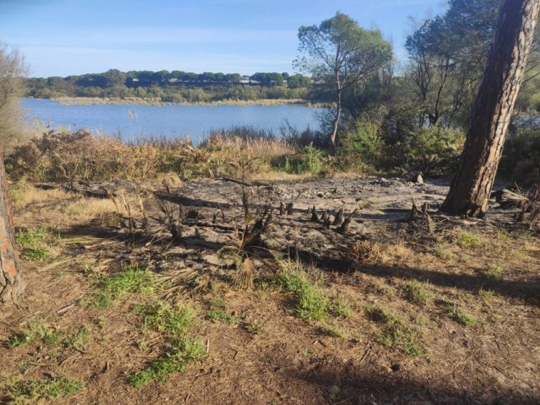 <strong>Calcinan en un acto vandálico un observatorio de aves en el Estero Domingo Rubio</strong>
