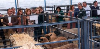 La Feria Ganadera de Puebla de Guzmán promociona este fin de semana los recursos endógenos del Andévalo