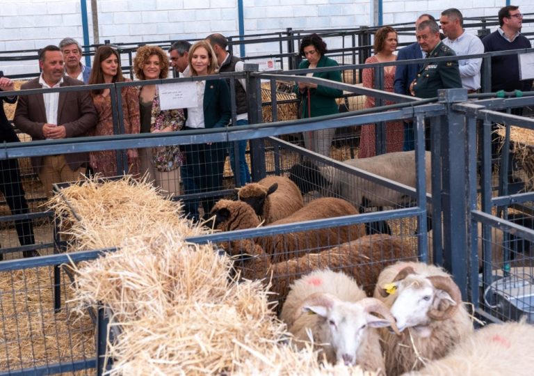 La Feria Ganadera de Puebla de Guzmán promociona este fin de semana los recursos endógenos del Andévalo