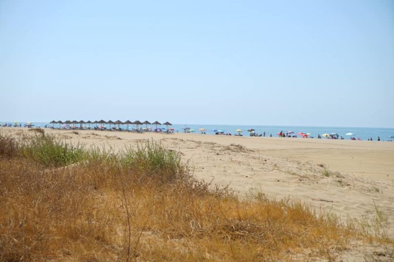 <strong>Ayamonte renueva sus tres banderas Ecoplaya</strong>
