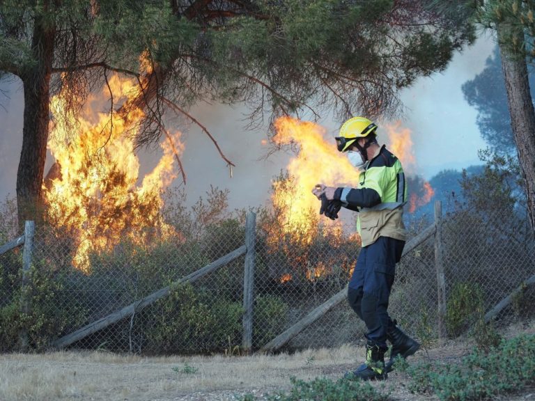 <strong>Dan por extinguido el incendio de la Laguna de El Portil, que calcina diez hectáreas</strong>