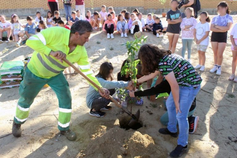 Escolares del CEIP Juan Díaz Hachero de Cartaya plantan almendros